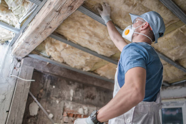 Best Geographic-Specific Insulation Services in Doe Valley, KY